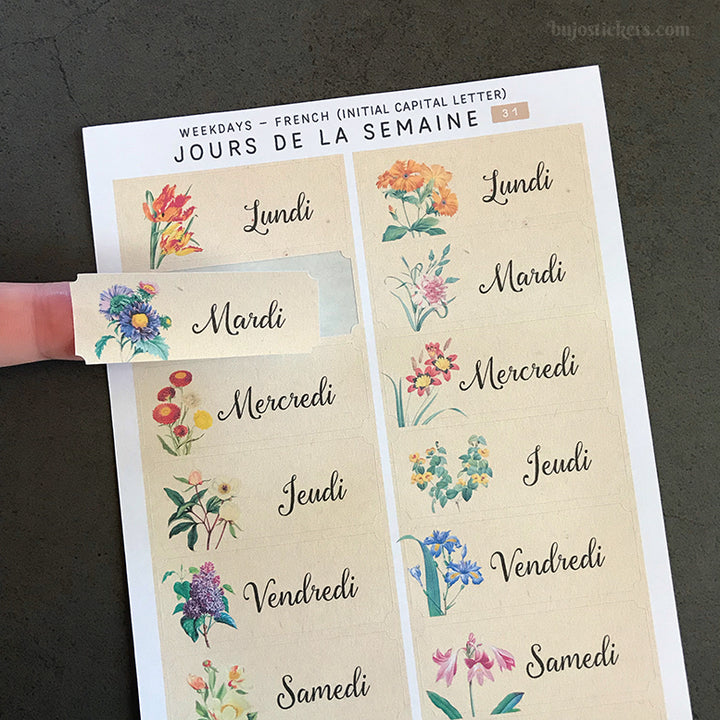Jours de la Semaine et Date SET • Weekdays in French and dates SET • 30+31+15