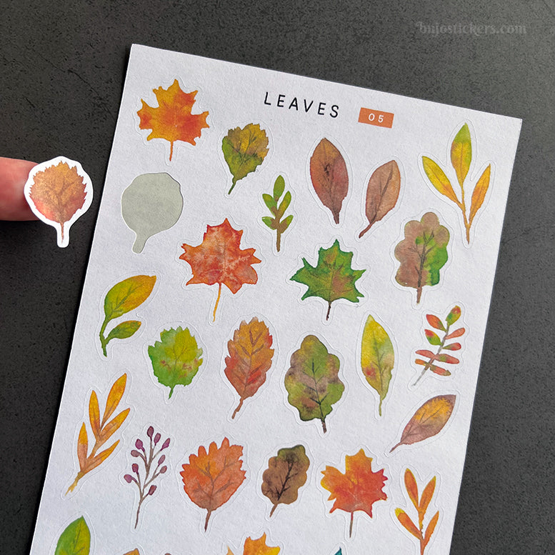 Autumn Leaves 05-06
