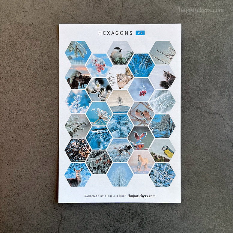 Hexagon stickers No 22
