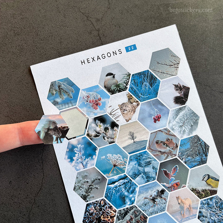 Hexagon stickers No 22