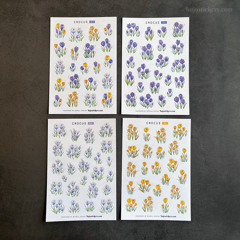 Crocus • SET of 4