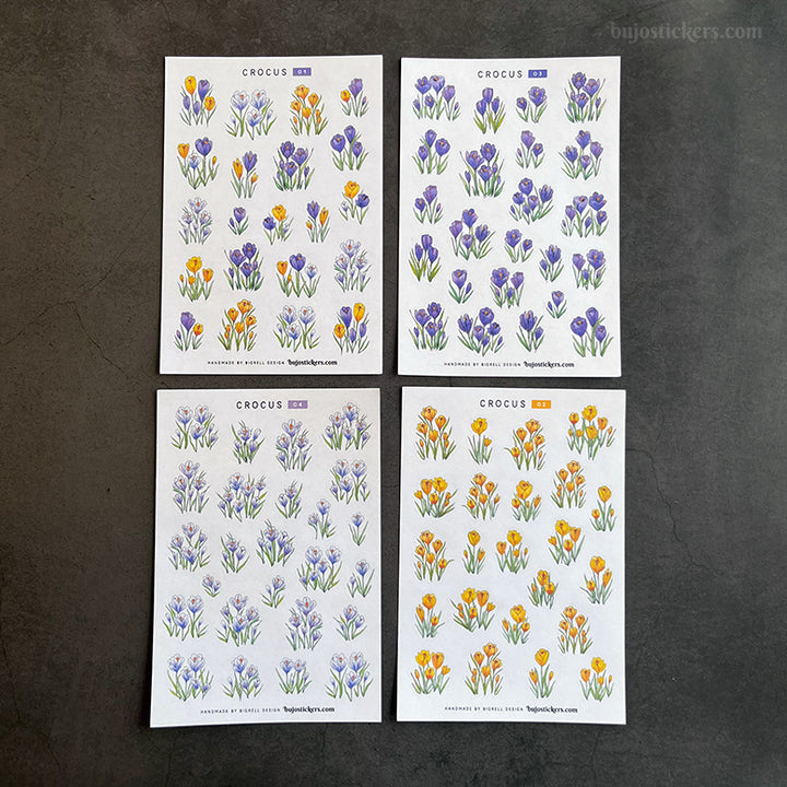 Crocus • SET of 4