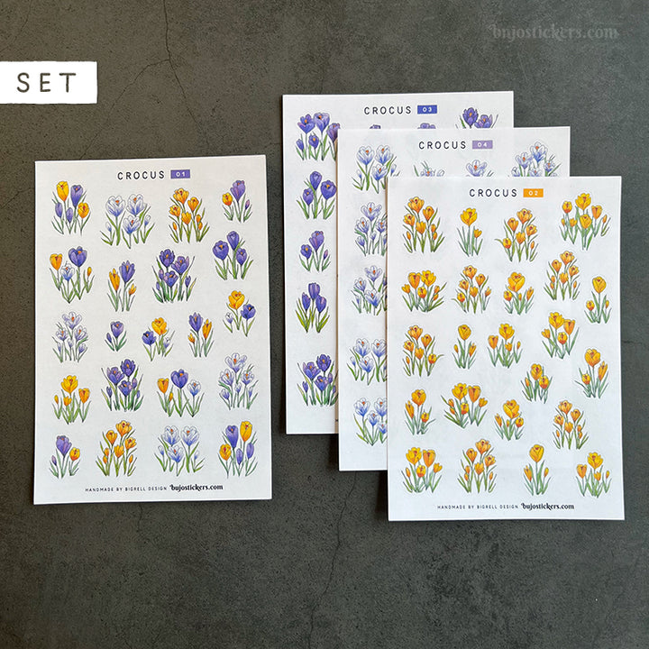 Crocus • SET of 4