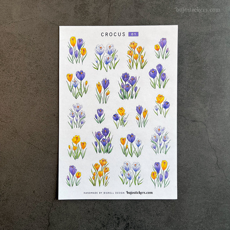 Crocus 01