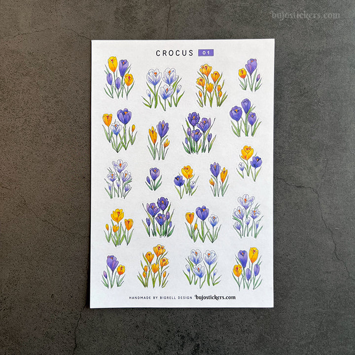 Crocus 01