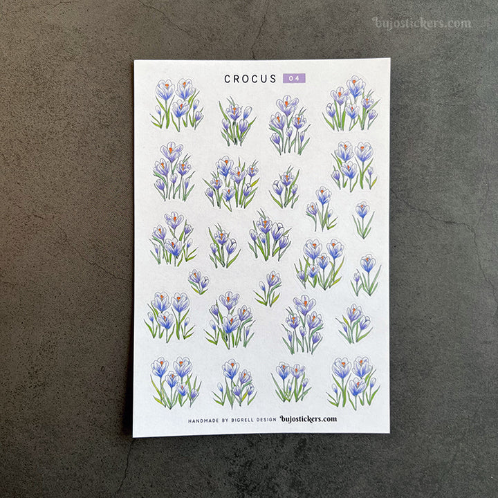 Crocus • SET of 4