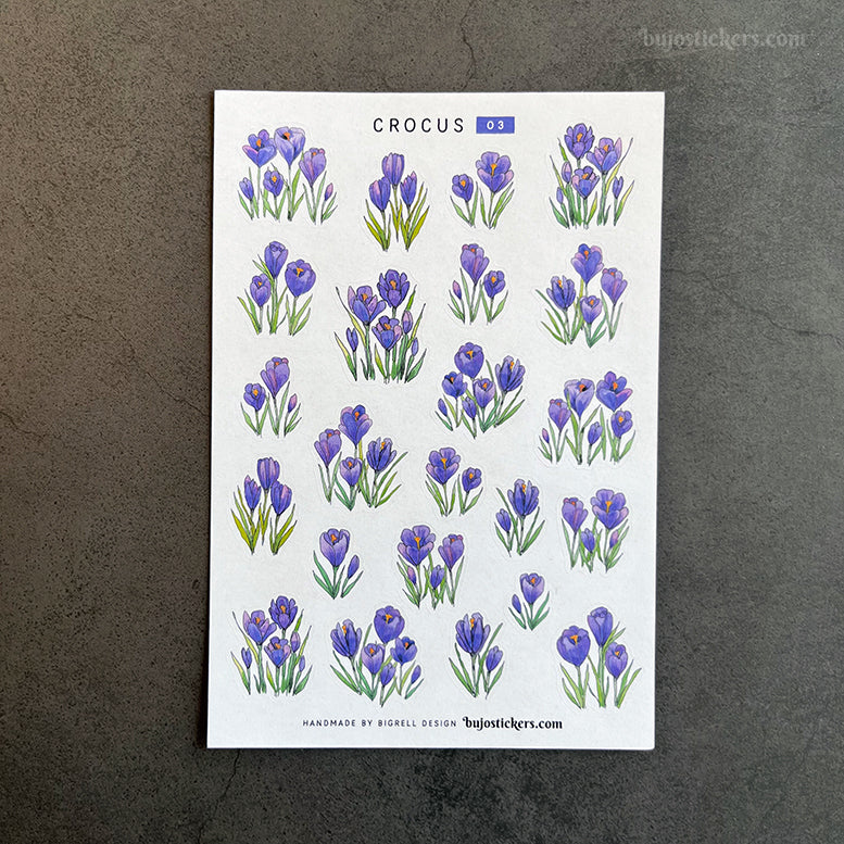 Crocus • SET of 4