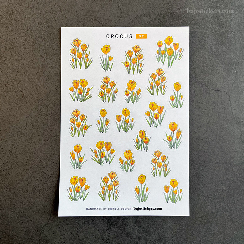 Crocus • SET of 4