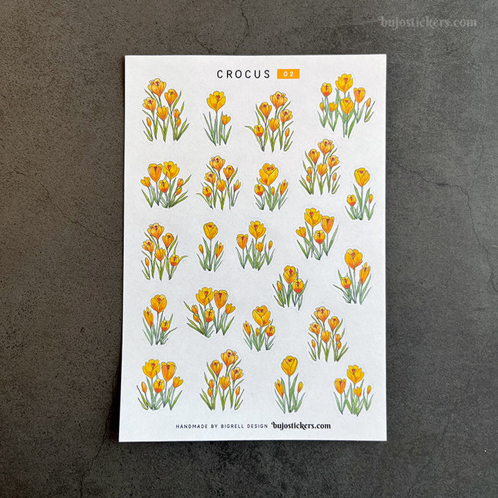 Crocus • SET of 4