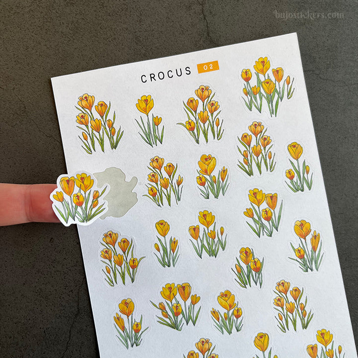 Crocus • SET of 4