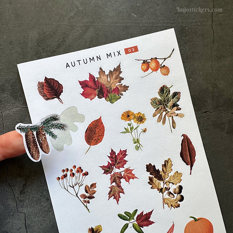 Autumn mix 03 • Vintage fall leaves and nature