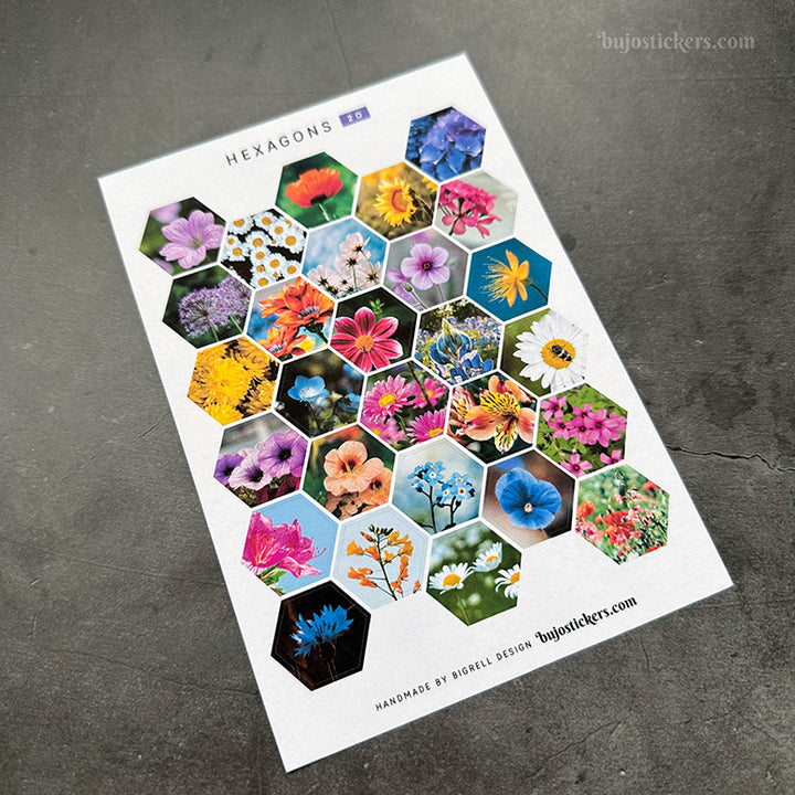 Hexagon stickers No 20
