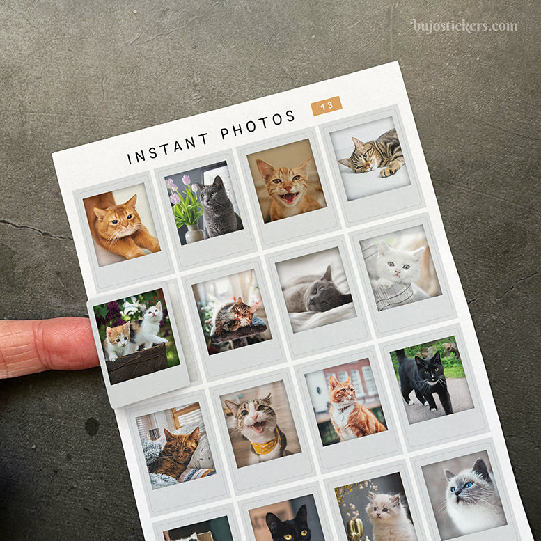 Instant Photos 13 • Cats