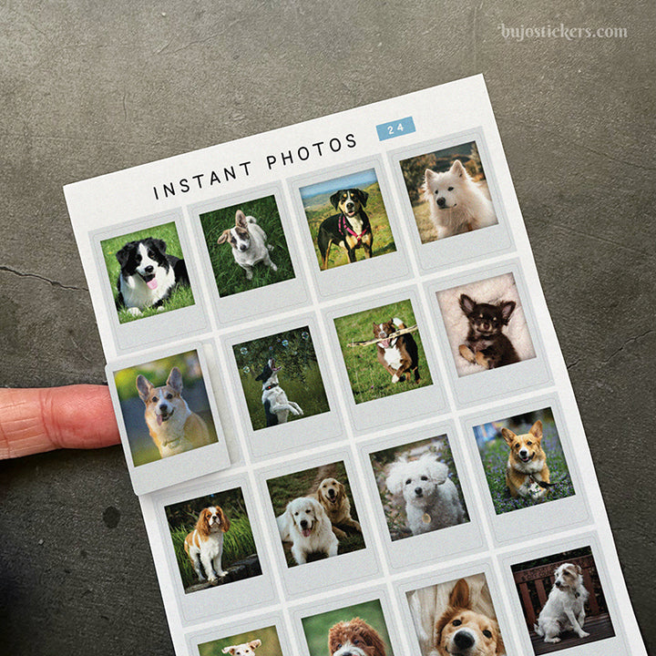 Instant Photos 24 • Dogs