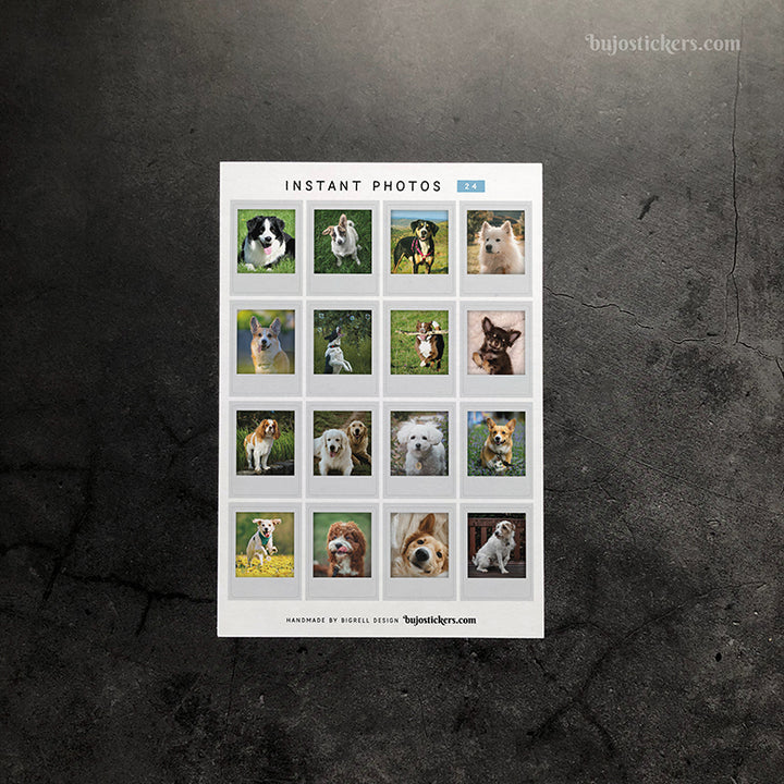 Instant Photos 24 • Dogs