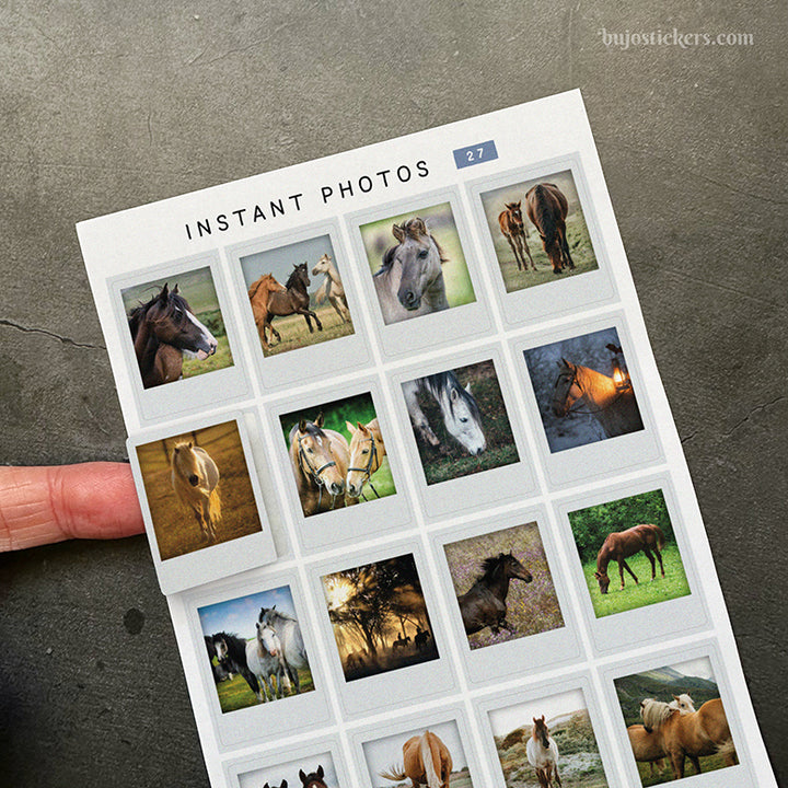 Instant Photos 27 • Horses