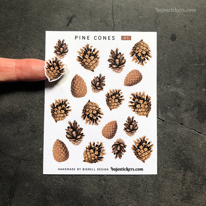 Pine cones 01