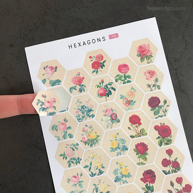 Hexagon stickers No 16