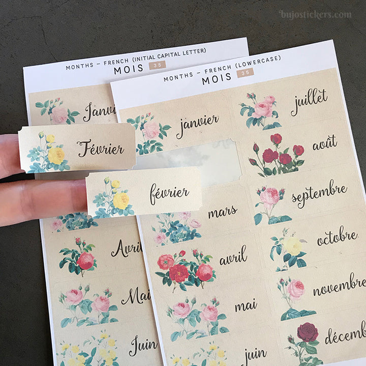 Mois 35 • Months in French