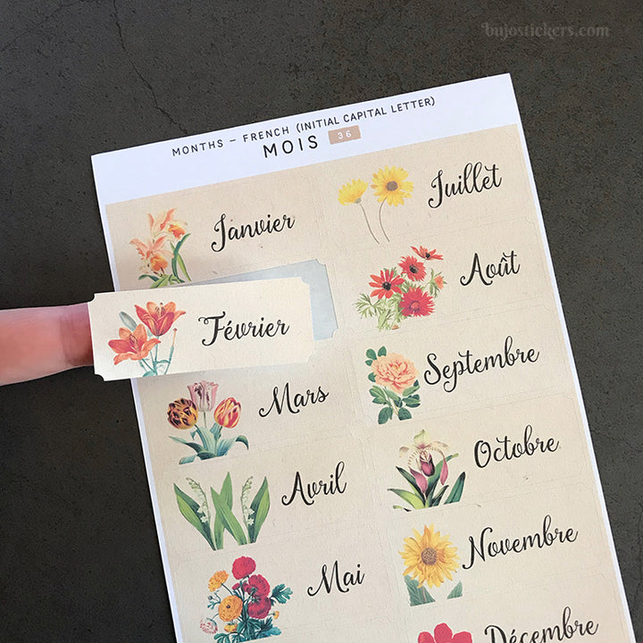 Mois SET • Months in French • 35+36