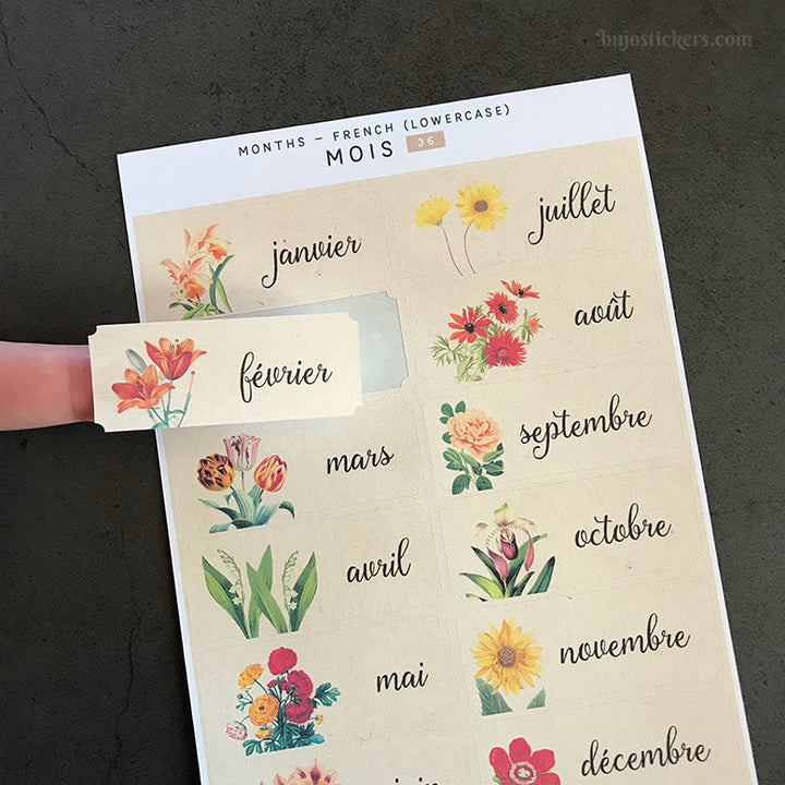 Mois SET • Months in French • 35+36