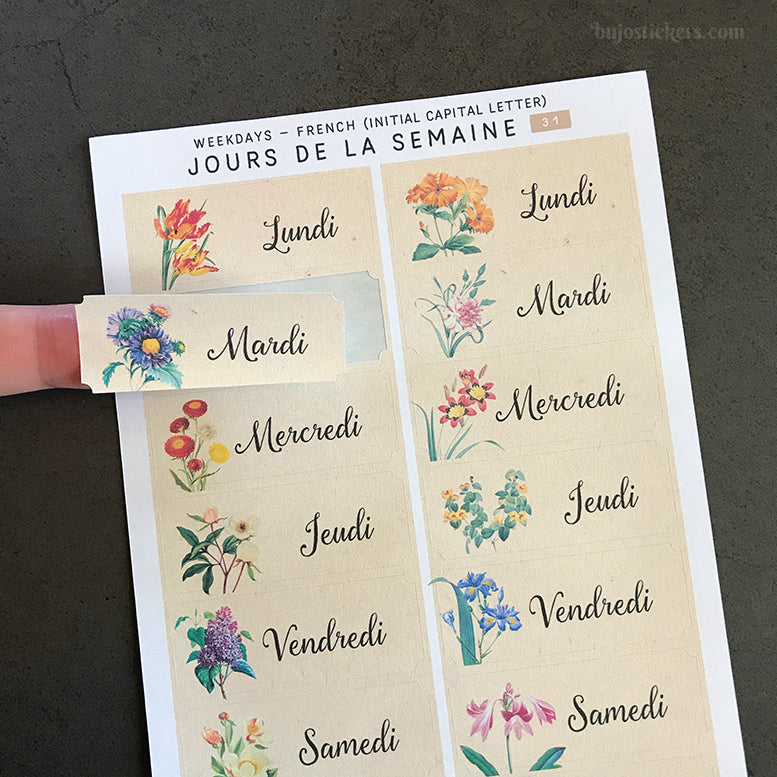 Jours de la Semaine et Date SET • Weekdays in French and dates SET • 30+31+15