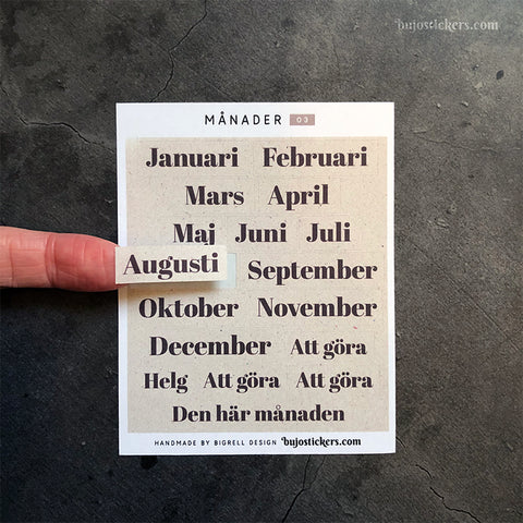 Månader 03 • Months in Swedish