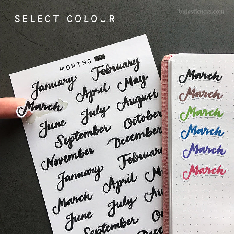 Months 28 • 7 colour options