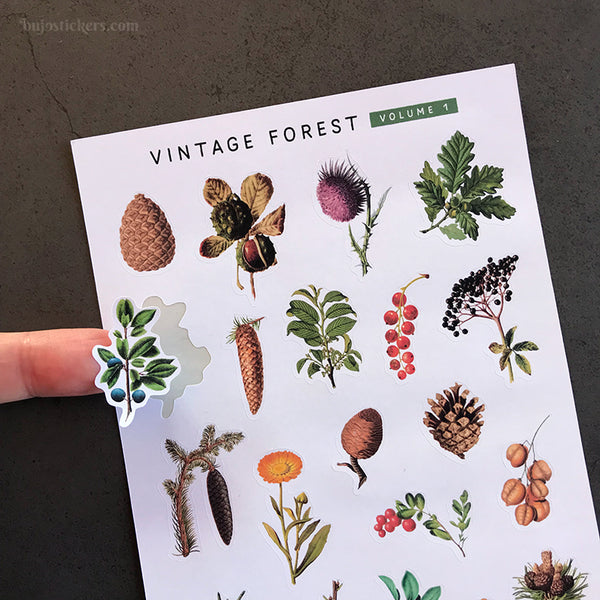 Vintage Forest Volume 1