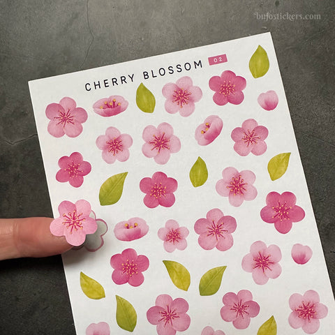 Cherry Blossom 02