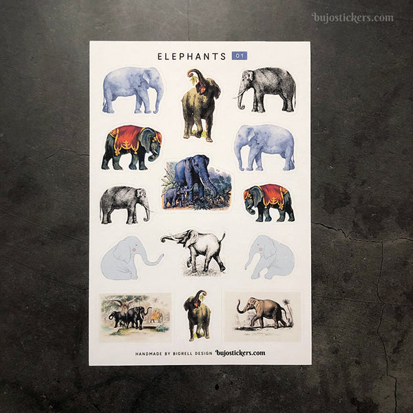 Elephants 01
