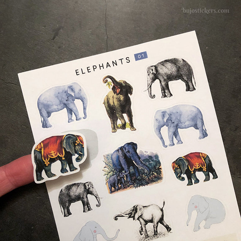 Elephants 01