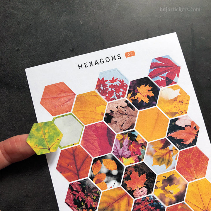 Hexagon stickers No 06