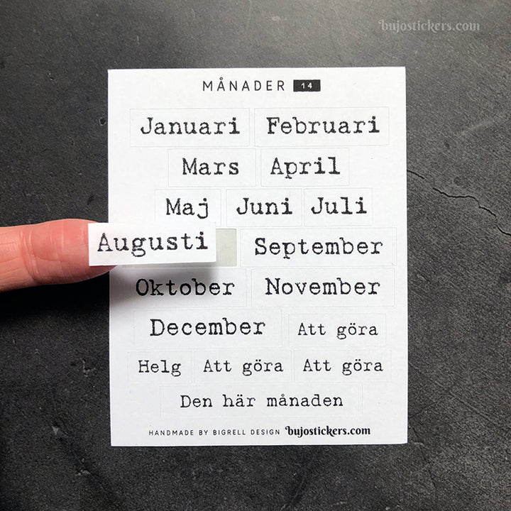 Månader 14 • Months in Swedish