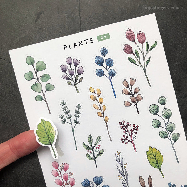Plants 01