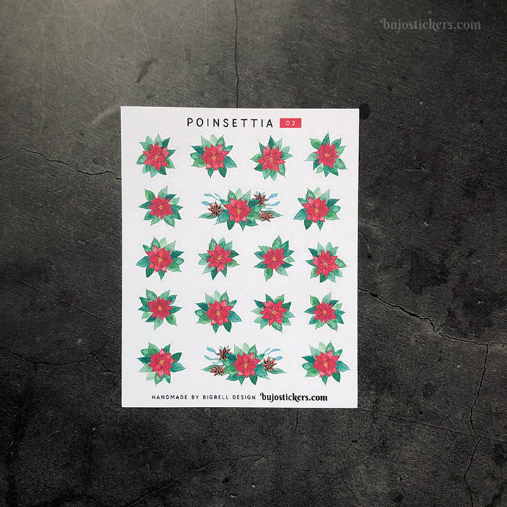 Poinsettia 02