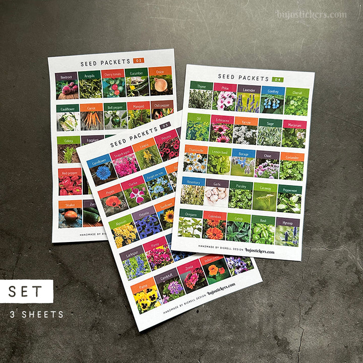 Seed packets • SET of 3