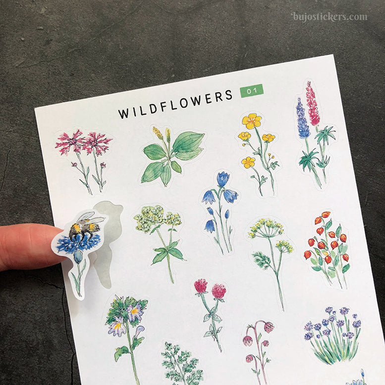 Wildflowers 01